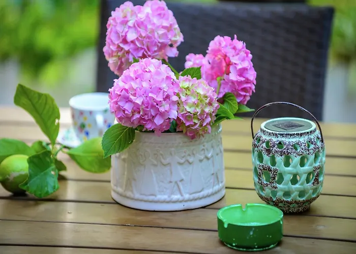 Casa vacanze Lovely Mediterranean Near The Cavtat