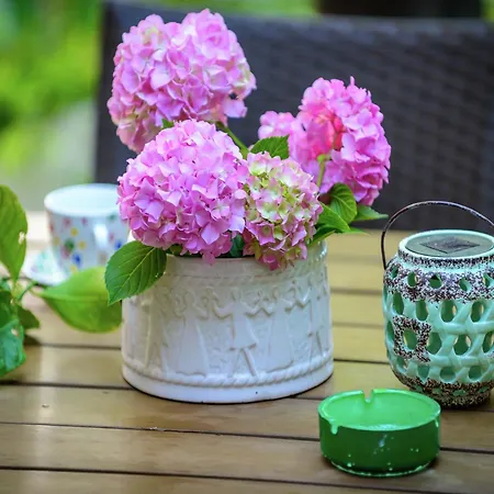 Ferienhaus Lovely Mediterranean Near The Cavtat