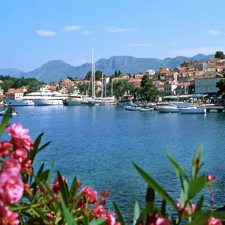 Lovely Mediterranean Near The * Cavtat