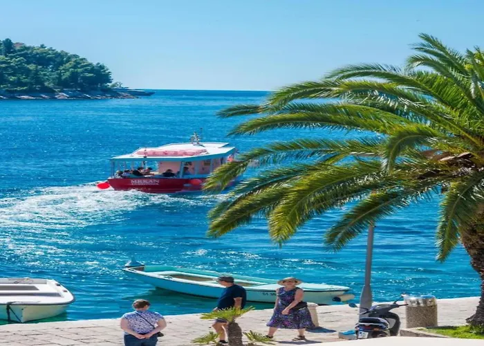 Lovely Mediterranean Near The Ferienhaus Cavtat